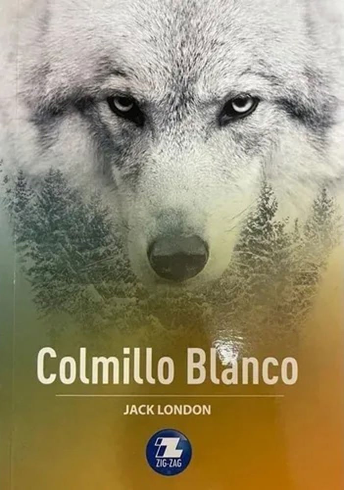 COLMILLO BLANCO