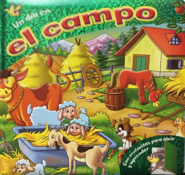 UN DIA EN EL CAMPO